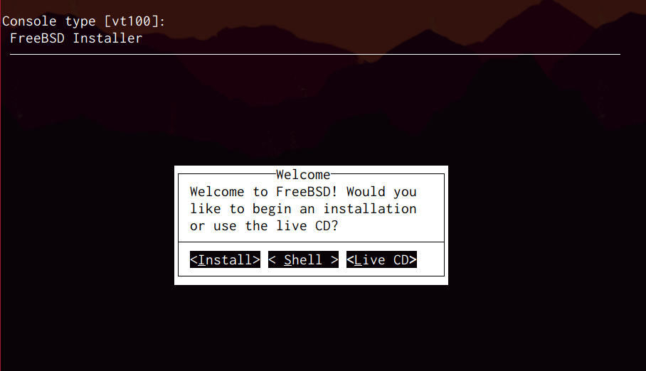 FreeBSD install menu, where I chose Install